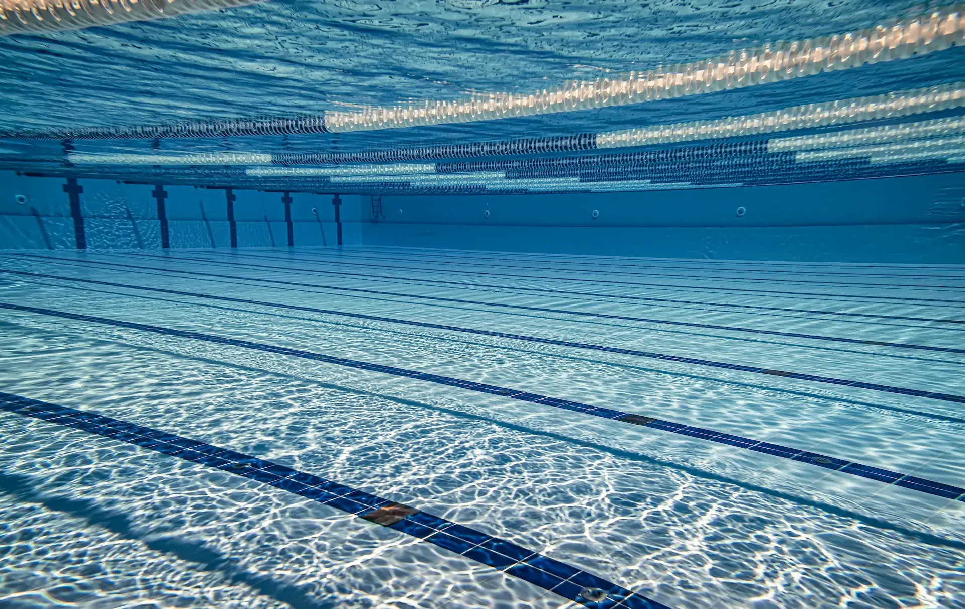 Olympic swimming pool under water background 2023 11 27 05 17 18 utc
